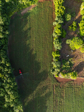 Aerial view of a tractor working in a large agricultural field surrounded by dense forest in Hopelchen, Campeche, Mexico.