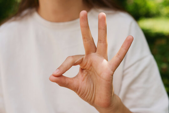 A person communicates using sign language in a park with trees and grass, showing the sign for 'okay' with their right hand. The time is midday with bright sunlight