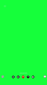 Green screen video call interface chat controls, timer, camera, microphone, speaker, large chroma area. Perfect for keying videos, webinar scenes, app demos, online meetings, overlays, social clips.