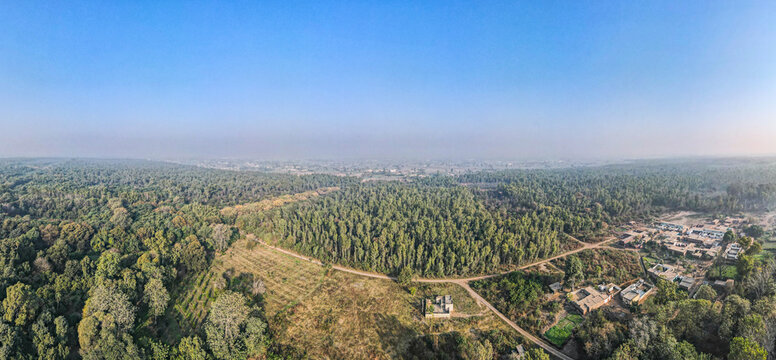 Aerial view of the vast Daphar Plantation Forest with dense green trees, rural pathways, and small settlements under a clear blue sky in Chak No. 27, Punjab, Pakistan.