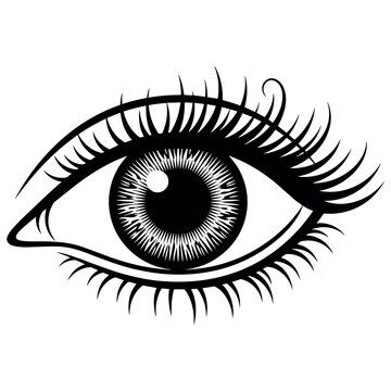 Stylized human eye illustration