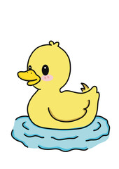Fototapeta premium Cute Little Duck