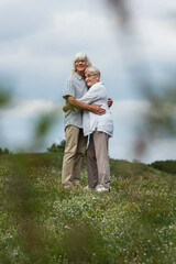 Fototapeta premium Loving seniors enjoying a moment of joy together on a grassy hilltop