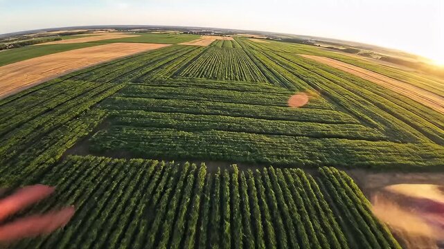 Aerial view of patchwork farm fields at golden hour