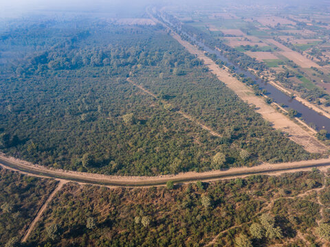 Aerial view of Chichawatni Jungle with dense forest canopy, a winding irrigation canal, and surrounding agricultural fields in Chichawatni, Punjab, Pakistan.