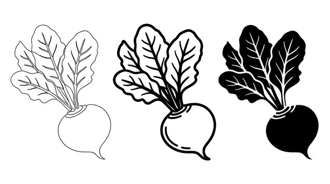 Beetroot vegetable icon set with line art and solid silhouette styles isolated on transparent background for garden and culinary design.