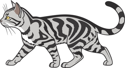 Fototapeta premium Silver tabby cat walking isolated on transparent background, showcasing graceful movement and elegance.