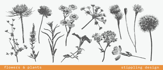 Fototapeta premium Vintage botanical set of various flowers and plants with grunge photocopy effect. Retro dotted texture illustrations. Nature floral design. Trendy stippling grainy art in halftone tones