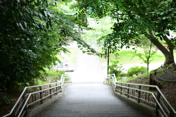 Fototapeta premium 亥鼻公園の階段