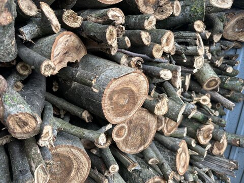 Sorted nut-sized logs for stove heating
