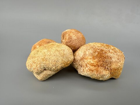 handfuls of dried Lion's Mane a medicinal nootropic mushroom