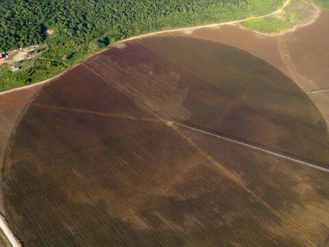 Aerial view of circular monoculture field with center pivot irrigation system surrounded by dense forest in Hopelchen, Campeche, Mexico.