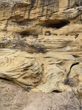 Sandstone rock wall with natural erosion shapes and small cavities.