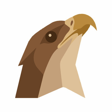 Minimalist geometric hawk head looking upwards towards the sky