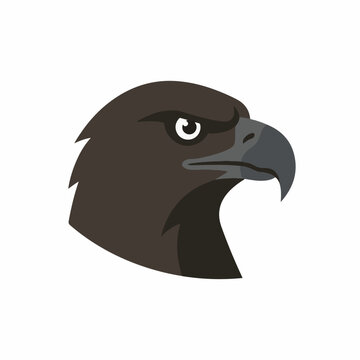 Dark profile of a powerful hawk head with sharp curved beak
