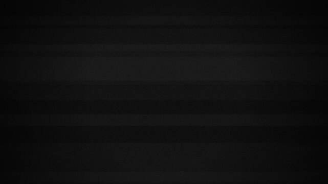 Overlay Glitch Noise Black Motion Effect Element Transition 4K Video Footage