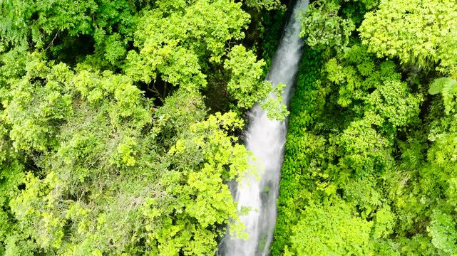 Waterfall in the rainforest view from above. Slow motion. Pulang-Tubig Falls Negros, Philippines.