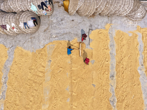 Aerial view of workers spreading paddy rice to dry on a concrete surface, with traditional conical hats arranged in rows nearby in Ashuganj, Chittagong Division, Bangladesh.