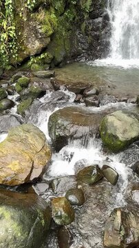 Vertical close-up of clear water flowing over colored stones.