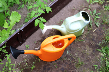 Two plastic watering cans, one orange and one white, filled with water in a greenhouse on a cloudy summer day at a farm - horizontal photo, close-up, top view © Iuliia Koroleva