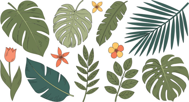 Hand drawn tropical leaves flowers and a tulip in various green orange and red colors