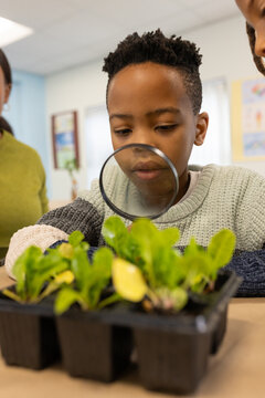 African American boy and adults leaning over desk examining seedling tray with magnifier at school