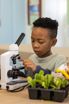 African American child wearing green knit adjusting microscope slide at lab with plants and sprayer