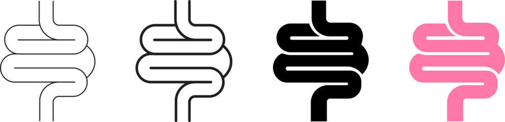 Obraz premium Intestine Human Digestive System Vector Line and Glyph Icons Set