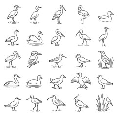 Obraz premium Collection of bird line drawings featuring herons, pelicans, swans, and more water birds.