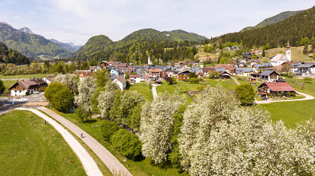 Cyclist on Ciclabile Alpe Adria trail cycling through the alpine village, outdoor tourism destination in spring amidst blooming trees, Julian Alps, Tarvisio, Camporosso, Friuli Venezia Giulia, Italy.
