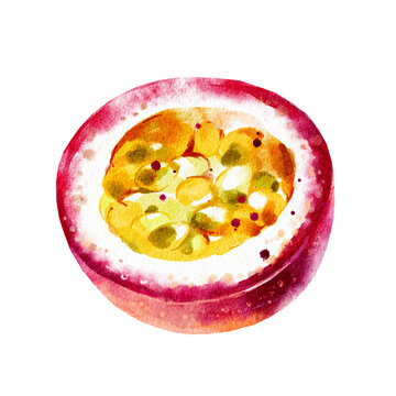 Hand drawn watercolor passion fruit. Painted illustration on transparent background.