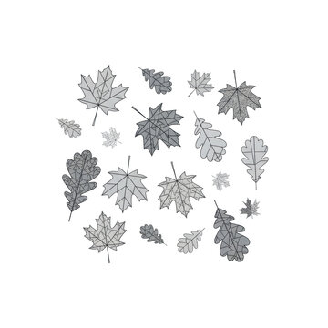 Scattered maple and oak leaves with geometric mandalas floating on a white background in a monochromatic grey palette. minimalist vector graphic atmosphere