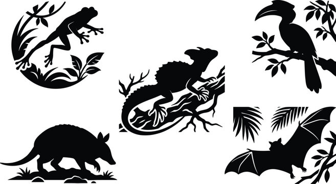 Tropical Wildlife Vector Silhouette Set Featuring Tree Frog Basilisk Lizard Hornbill Armadillo and Flying Bat