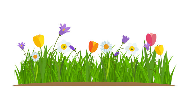 Colorful wildflowers growing in green grass with brown earth below flat vector illustration