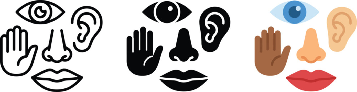 Human Senses Icon Set Featuring Sight, Hearing, Touch, Smell and Taste Symbols. Editable Glyph Icons. Vector Illustration.
