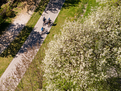 Cyclists ride mountain bikes on the Ciclabile Alpe Adria path during spring, showcasing outdoor travel lifestyle amid blooming trees in Julian Alps, Tarvisio, Camporosso, Friuli Venezia Giulia, Italy.
