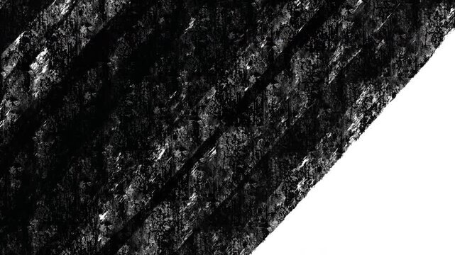 Hand Drawn Brush Transition Animation
