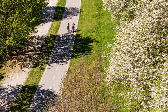 Cyclists ride on a paved path surrounded by white spring blossoming Klotzen pears trees, tourism destination, Julian Alps, Tarvisio, Camporosso, Friuli Venezia Giulia, Italy.