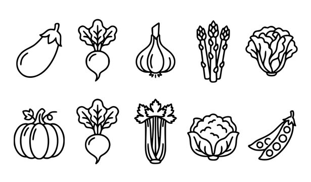 Organic Vegetable Outline Icon Set with Eggplant Radish Garlic Asparagus Lettuce Pumpkin Celery Cauliflower and Pea Pod