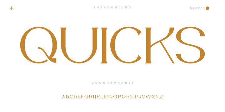Quicks Serif classic design font vector illustration of alphabet letters.