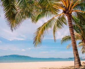 Peaceful Vietnam, Nha Trang tropical beach scene featuring a palm tree, blue sea, clear sky, and bright sunlight creating a relaxing vacation atmosphere. © olinchuk