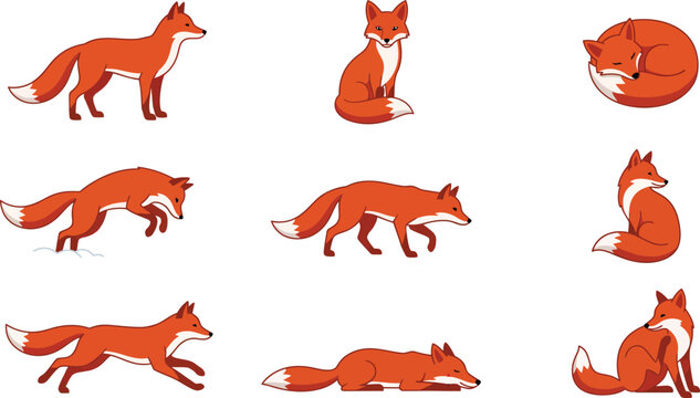 Set of cartoon foxes in various poses and actions