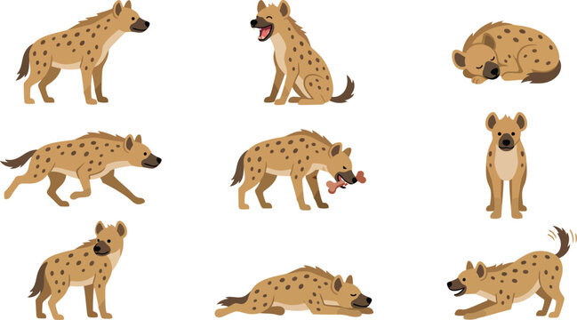 Set of various spotted hyenas in different poses and actions