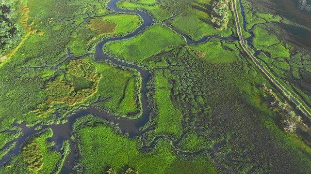 Jekyll Island, Georgia - 18 July 2026: Aerial view of winding tidal creeks flowing through lush green marshlands.