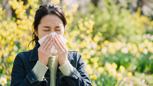 Asian woman allergy sufferer blowing nose with tissue in spring park with yellow flowers, seasonal allergies and hay fever health care banner with copy space