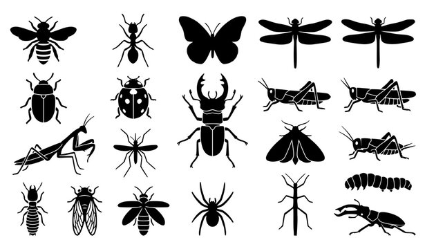 Insect silhouette collection with bees ants butterflies beetles and flying bugs CAD flat vector set
