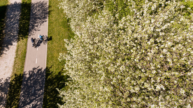 Two cyclists on the Alpe Adria cycle path, enjoying a spring outdoor lifestyle adventure near blooming trees, travel tourism in Julian Alps, Tarvisio, Camporosso, Friuli Venezia Giulia, Italy.