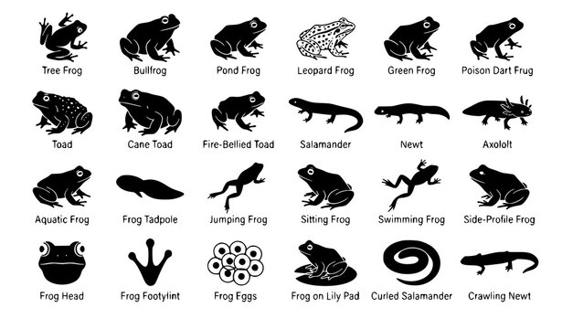 Amphibian Black Silhouette Icons Set with Frogs Toads and Salamanders Vector Collection