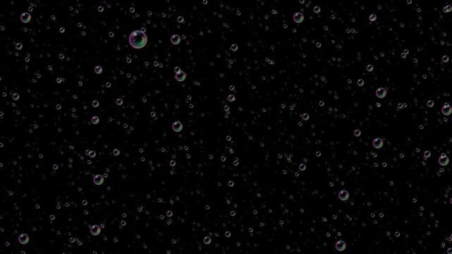 soap bubbles floating