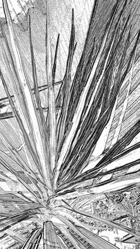Abstract high-contrast monochrome image showing diagonal striations and curved grainy texture on black background, scientific microscopic appearance with wispy fiber-like lines.